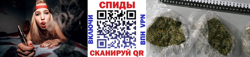 Бутират буратино  Томилино 