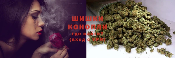 2c-b Вяземский